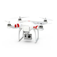 DJI PHANTOM 1